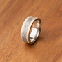 Size 10 Titanium and Meteorite