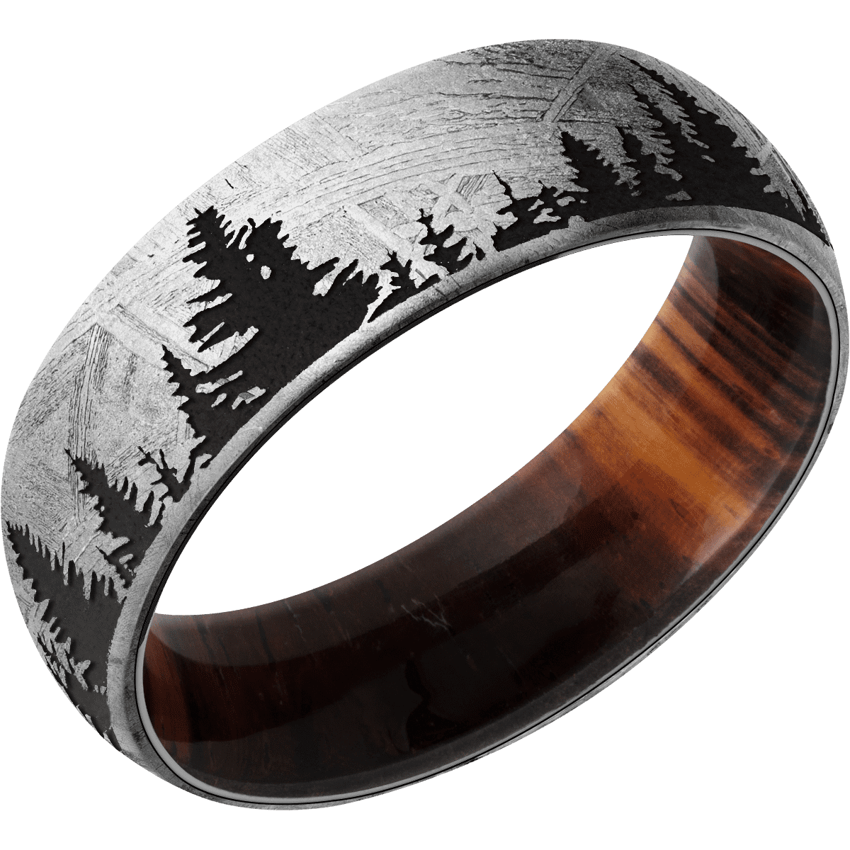 Meteorite + None Finish + Cocobolo